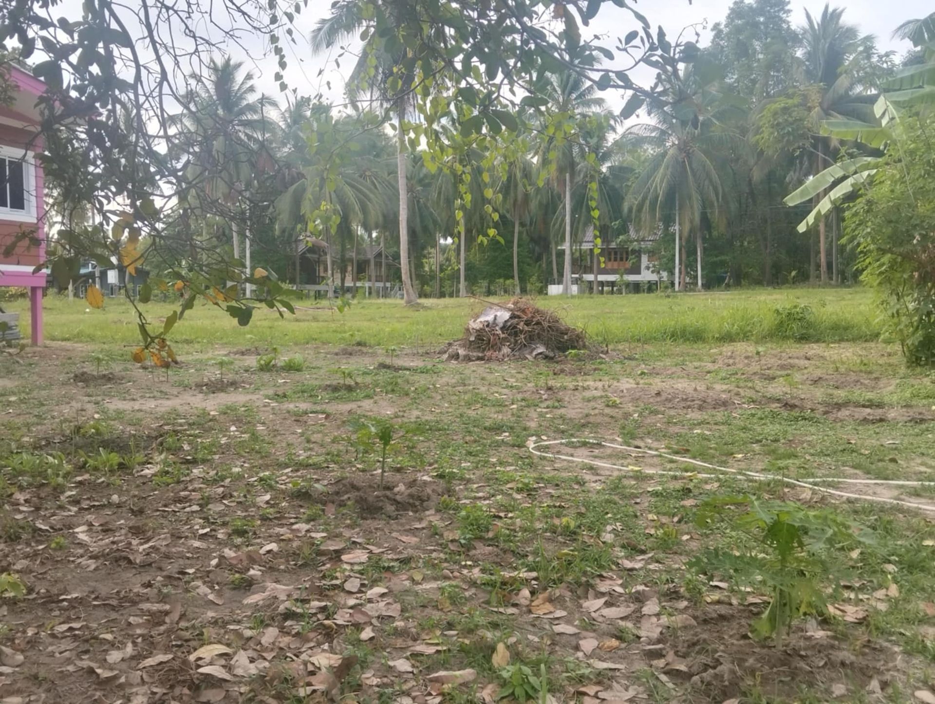 Prime 2,176 sqm Land for Sale Koh Phangan – Main Road Location with 4 Houses - Ko Pha-ngan, Thailand