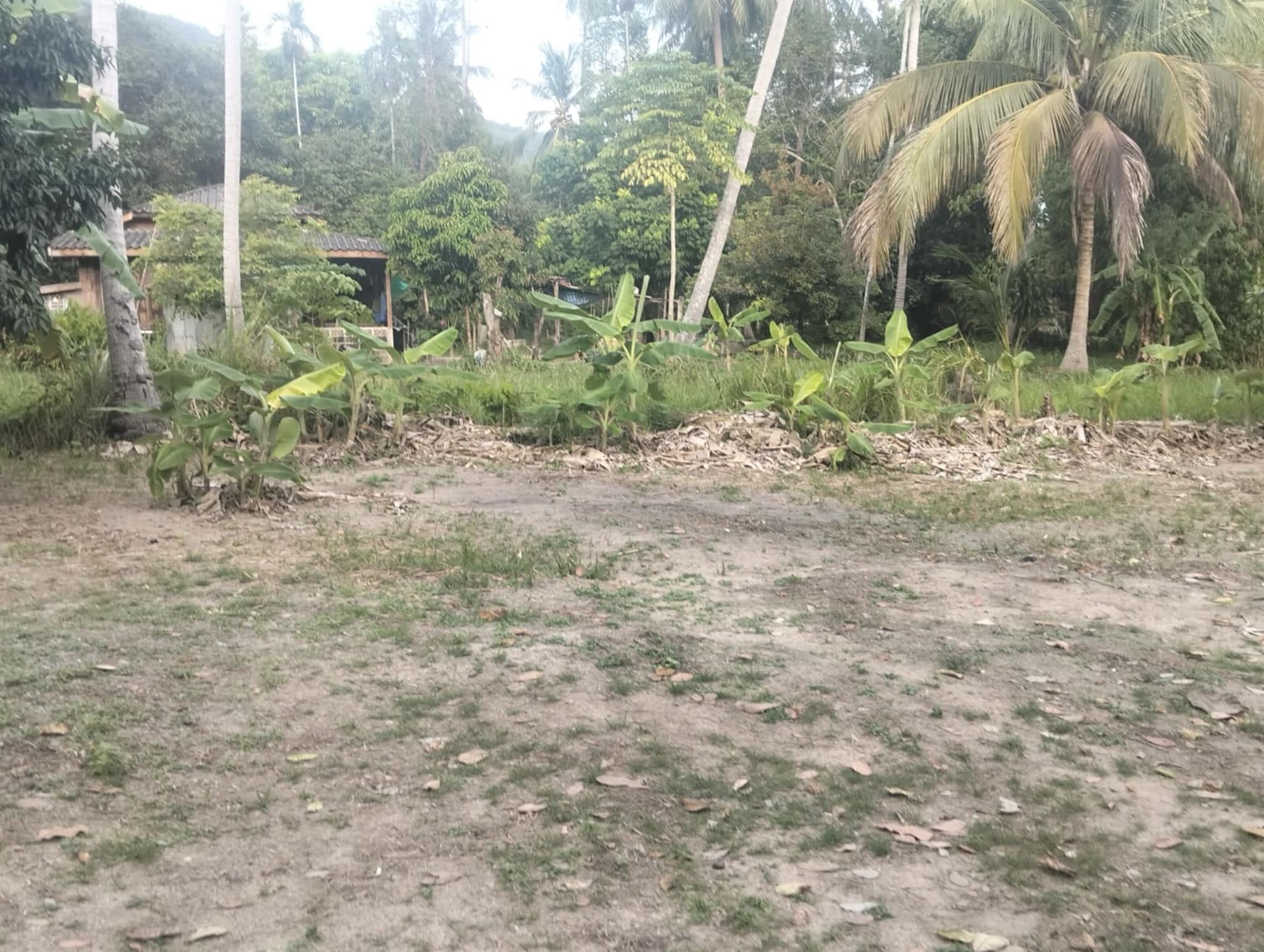 Prime 2,176 sqm Land for Sale Koh Phangan – Main Road Location with 4 Houses - Ko Pha-ngan, Thailand