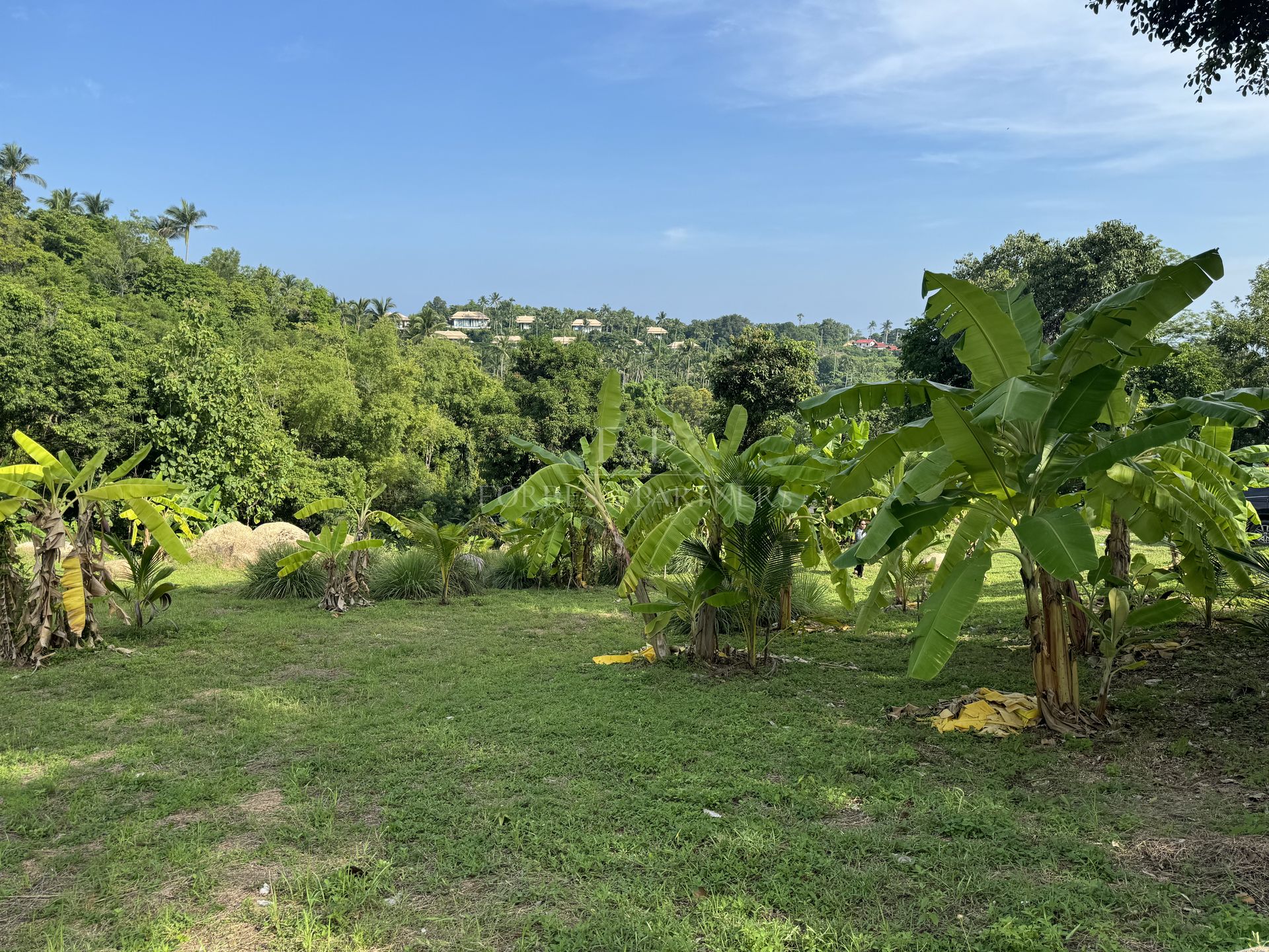 Strategic Development Land: 10,684 SQM Paradise in Prestigious Lamai - Lamai, Ko Samui, Thailand
