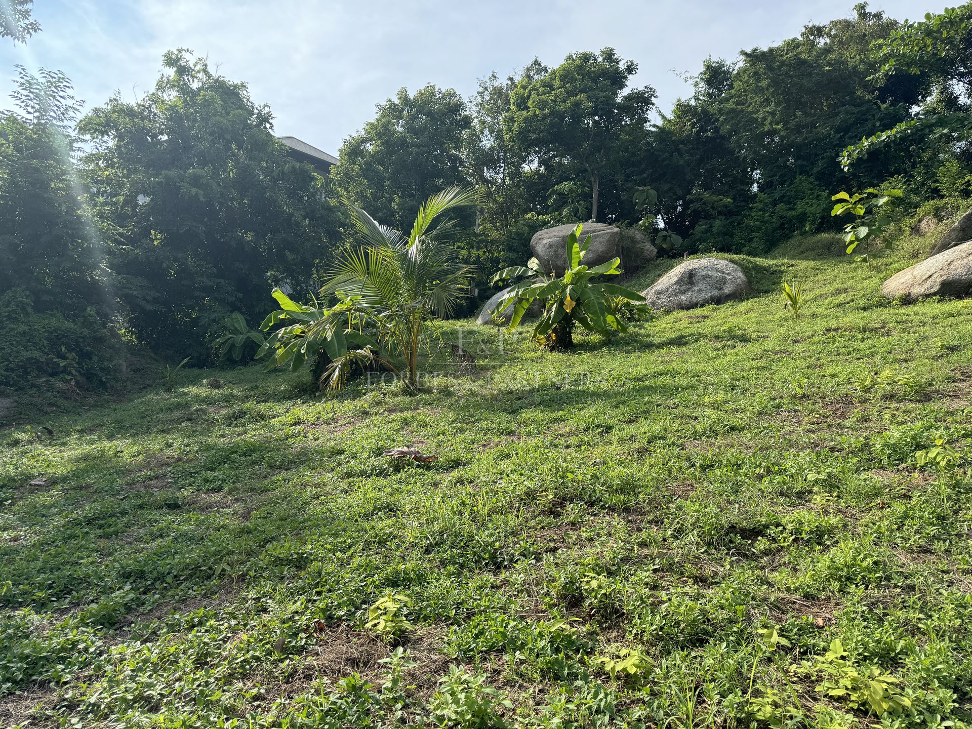 Strategic Development Land: 10,684 SQM Paradise in Prestigious Lamai - Lamai, Ko Samui, Thailand
