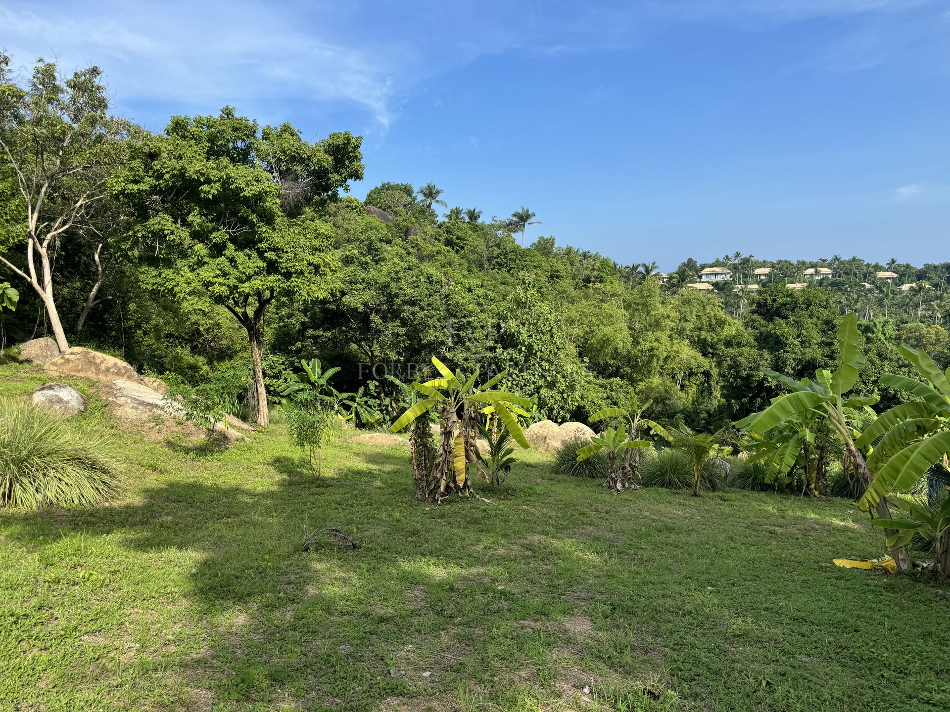 Strategic Development Land: 10,684 SQM Paradise in Prestigious Lamai - Lamai, Ko Samui, Thailand