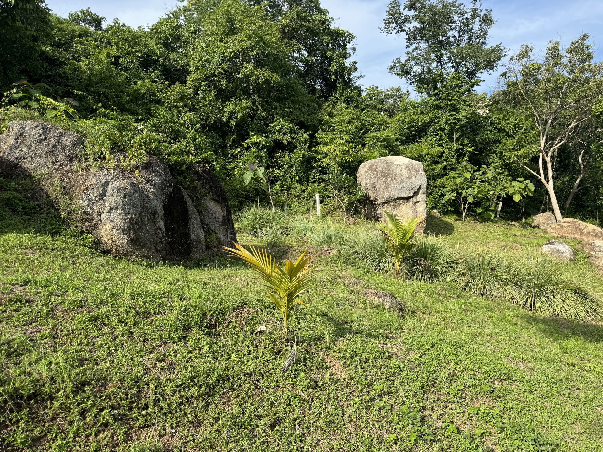 Strategic Development Land: 10,684 SQM Paradise in Prestigious Lamai - Lamai, Ko Samui, Thailand