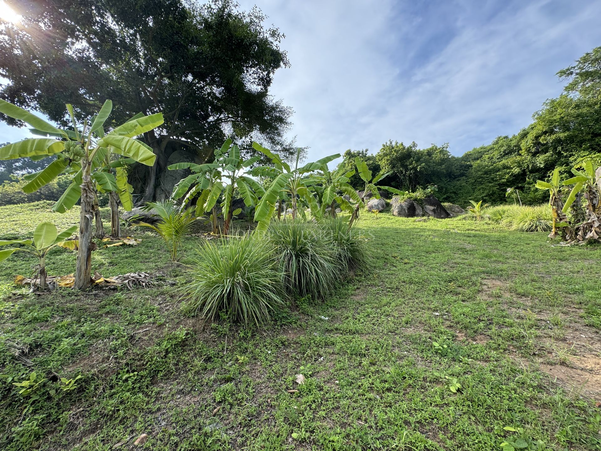 Strategic Development Land: 10,684 SQM Paradise in Prestigious Lamai - Lamai, Ko Samui, Thailand