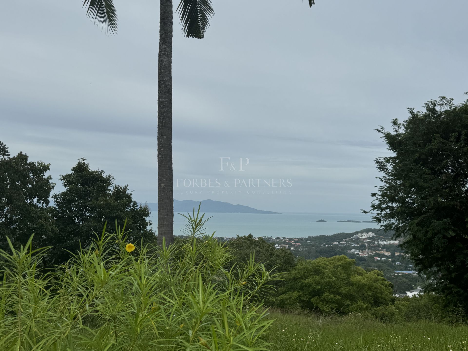 Premium Development Land: 8 Rai in Khao Phra, Bo Phut Heights - Bo Phut, Ko Samui, Thailand