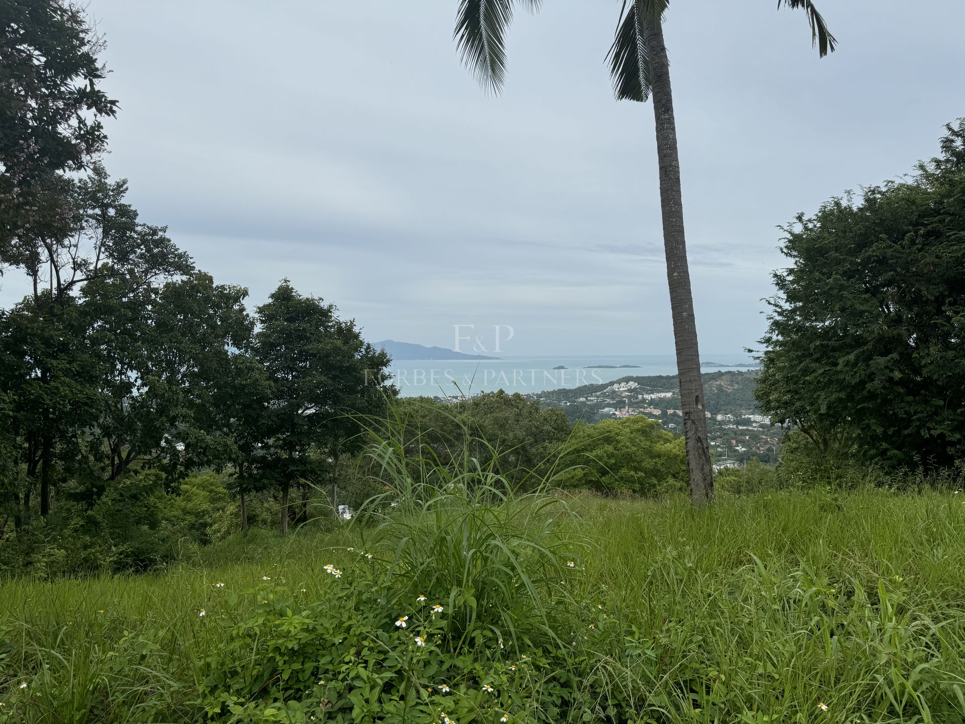 Premium Development Land: 8 Rai in Khao Phra, Bo Phut Heights - Bo Phut, Ko Samui, Thailand