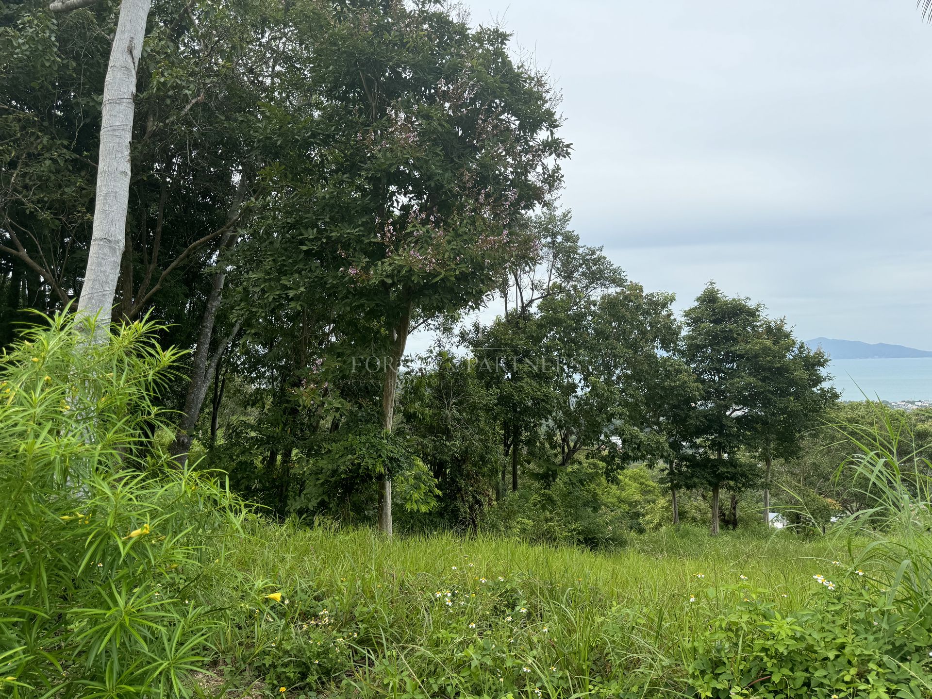 Premium Development Land: 8 Rai in Khao Phra, Bo Phut Heights - Bo Phut, Ko Samui, Thailand
