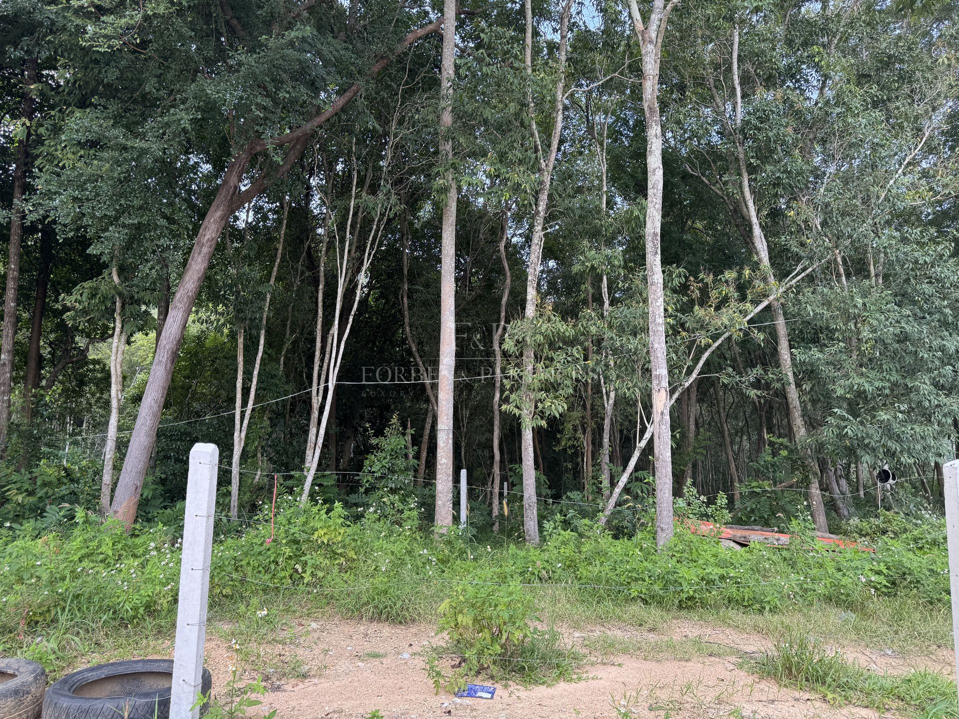 Sea View Land for Sale in Koh Samui, 1 Rai in Peaceful Bophut - Bo Phut, Ko Samui, Thailand